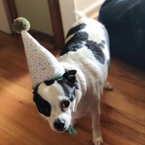 Meet your Posher, Tyler